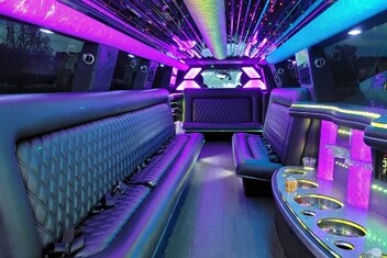 Newport News Limo Interior